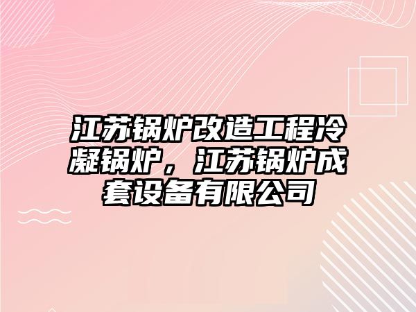 江蘇鍋爐改造工程冷凝鍋爐，江蘇鍋爐成套設(shè)備有限公司