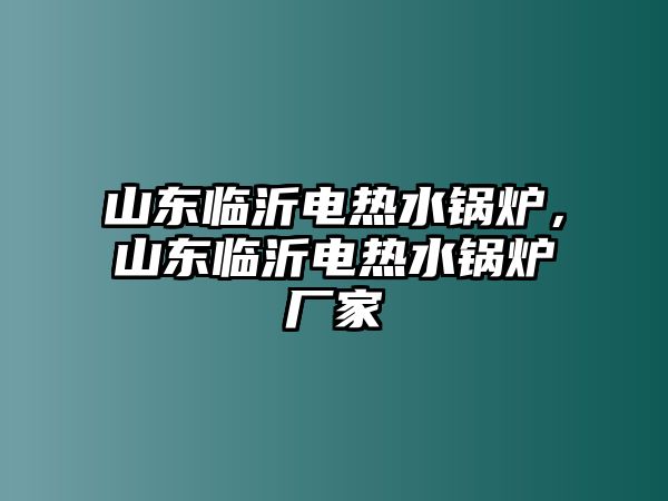 山東臨沂電熱水鍋爐，山東臨沂電熱水鍋爐廠家