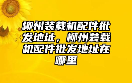 柳州裝載機(jī)配件批發(fā)地址，柳州裝載機(jī)配件批發(fā)地址在哪里