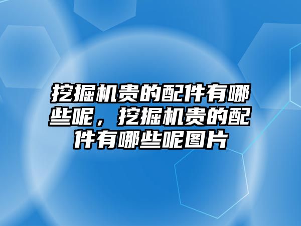 挖掘機(jī)貴的配件有哪些呢，挖掘機(jī)貴的配件有哪些呢圖片