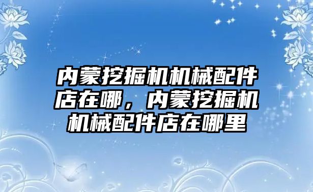 內(nèi)蒙挖掘機機械配件店在哪，內(nèi)蒙挖掘機機械配件店在哪里