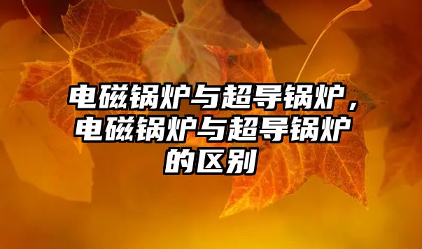 電磁鍋爐與超導(dǎo)鍋爐，電磁鍋爐與超導(dǎo)鍋爐的區(qū)別