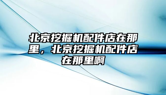 北京挖掘機(jī)配件店在那里，北京挖掘機(jī)配件店在那里啊