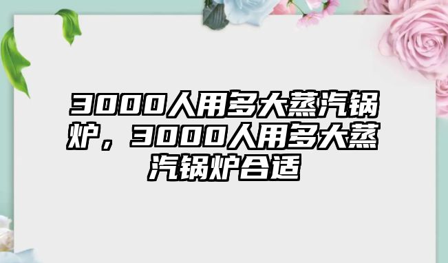 3000人用多大蒸汽鍋爐，3000人用多大蒸汽鍋爐合適