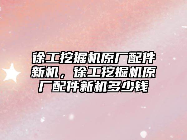 徐工挖掘機原廠配件新機，徐工挖掘機原廠配件新機多少錢