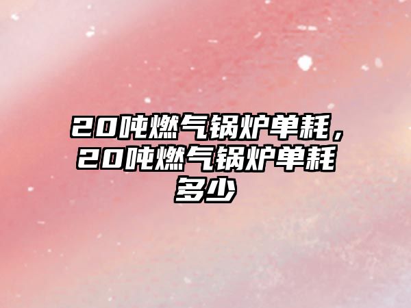 20噸燃?xì)忮仩t單耗，20噸燃?xì)忮仩t單耗多少