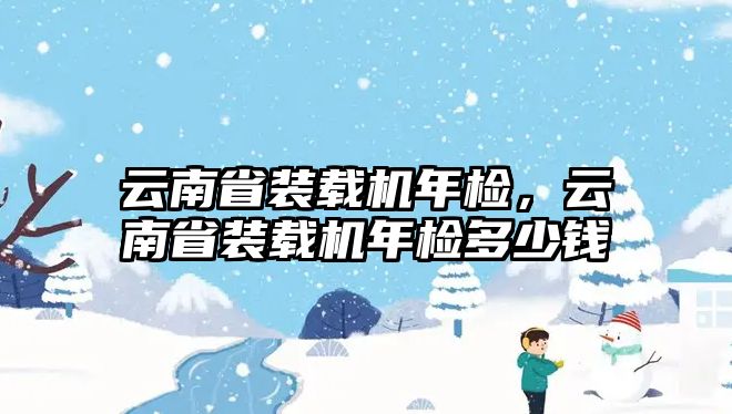 云南省裝載機年檢，云南省裝載機年檢多少錢