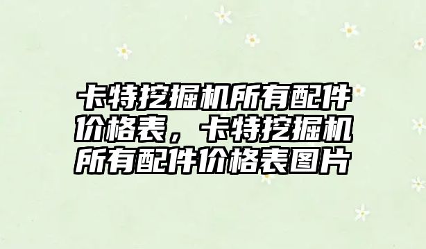 卡特挖掘機所有配件價格表，卡特挖掘機所有配件價格表圖片