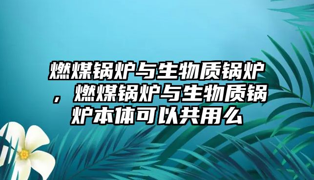 燃煤鍋爐與生物質(zhì)鍋爐，燃煤鍋爐與生物質(zhì)鍋爐本體可以共用么