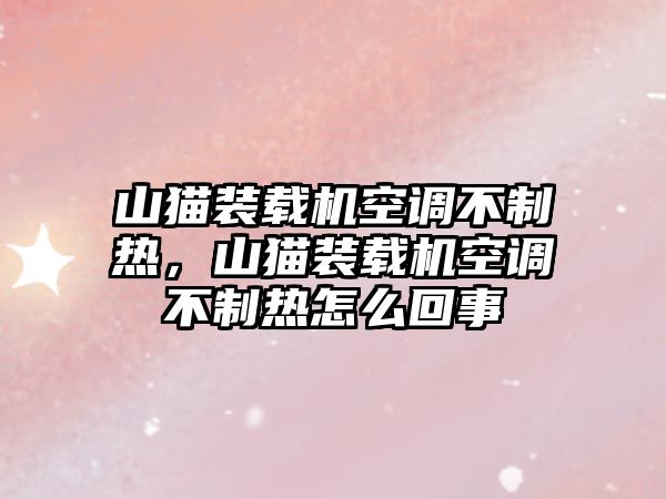 山貓裝載機(jī)空調(diào)不制熱，山貓裝載機(jī)空調(diào)不制熱怎么回事