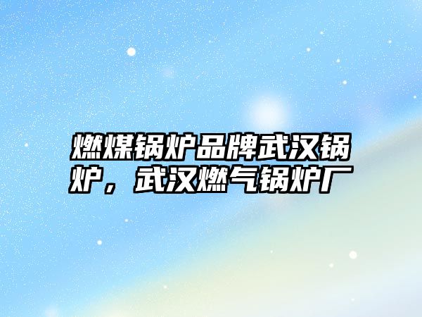 燃煤鍋爐品牌武漢鍋爐，武漢燃?xì)忮仩t廠