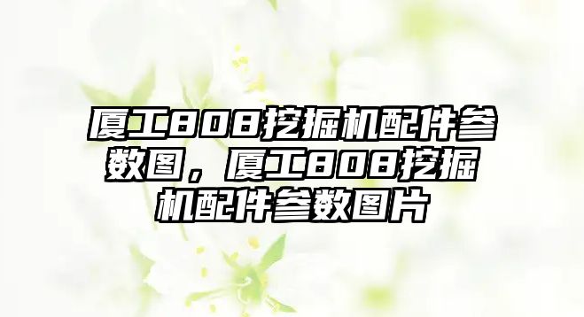 廈工808挖掘機配件參數(shù)圖，廈工808挖掘機配件參數(shù)圖片