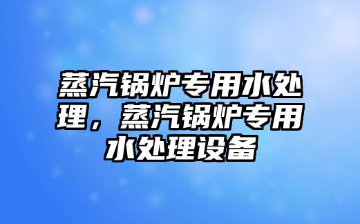 蒸汽鍋爐專用水處理，蒸汽鍋爐專用水處理設(shè)備