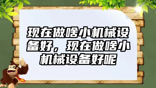 現(xiàn)在做啥小機(jī)械設(shè)備好，現(xiàn)在做啥小機(jī)械設(shè)備好呢