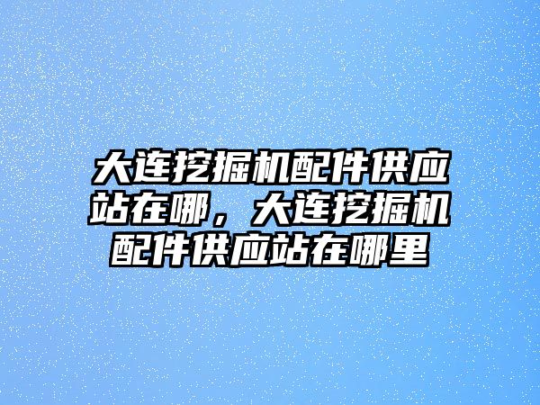 大連挖掘機(jī)配件供應(yīng)站在哪，大連挖掘機(jī)配件供應(yīng)站在哪里