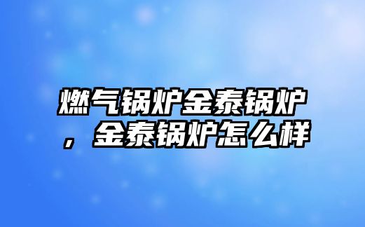 燃?xì)忮仩t金泰鍋爐，金泰鍋爐怎么樣