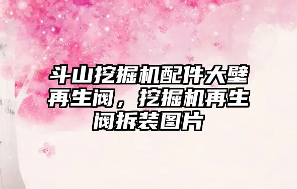 斗山挖掘機配件大壁再生閥，挖掘機再生閥拆裝圖片