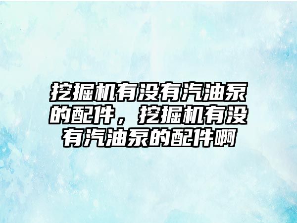 挖掘機(jī)有沒有汽油泵的配件，挖掘機(jī)有沒有汽油泵的配件啊