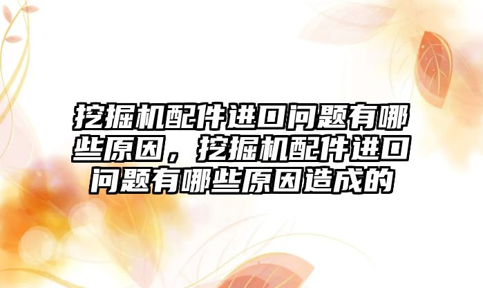 挖掘機配件進口問題有哪些原因，挖掘機配件進口問題有哪些原因造成的