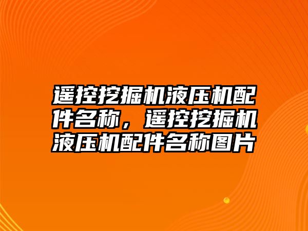 遙控挖掘機液壓機配件名稱，遙控挖掘機液壓機配件名稱圖片