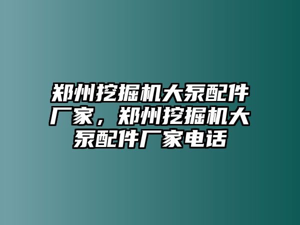 鄭州挖掘機(jī)大泵配件廠家，鄭州挖掘機(jī)大泵配件廠家電話