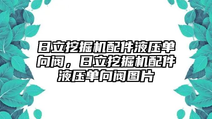 日立挖掘機(jī)配件液壓單向閥，日立挖掘機(jī)配件液壓單向閥圖片