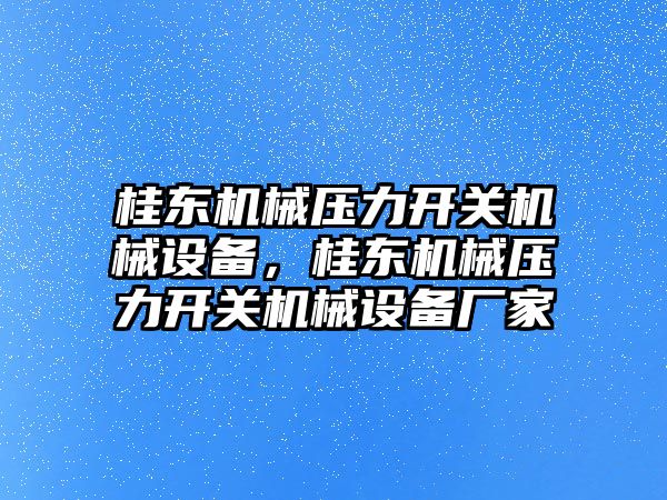 桂東機械壓力開關(guān)機械設備，桂東機械壓力開關(guān)機械設備廠家