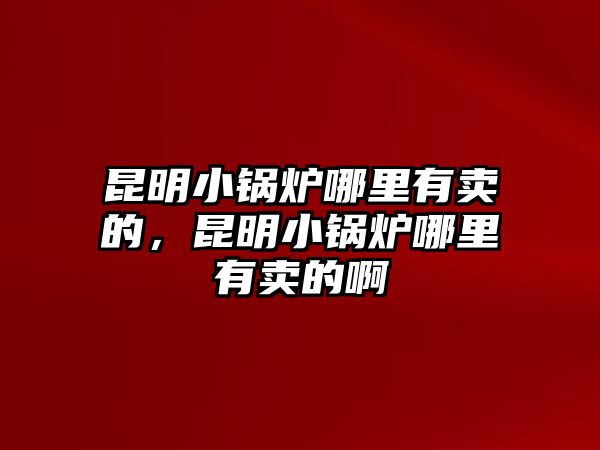 昆明小鍋爐哪里有賣的，昆明小鍋爐哪里有賣的啊