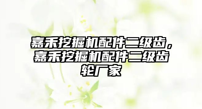 嘉禾挖掘機配件二級齒，嘉禾挖掘機配件二級齒輪廠家