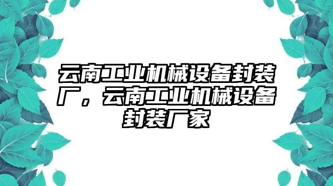 云南工業(yè)機(jī)械設(shè)備封裝廠，云南工業(yè)機(jī)械設(shè)備封裝廠家