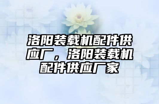 洛陽裝載機配件供應(yīng)廠，洛陽裝載機配件供應(yīng)廠家