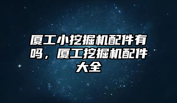 廈工小挖掘機配件有嗎，廈工挖掘機配件大全