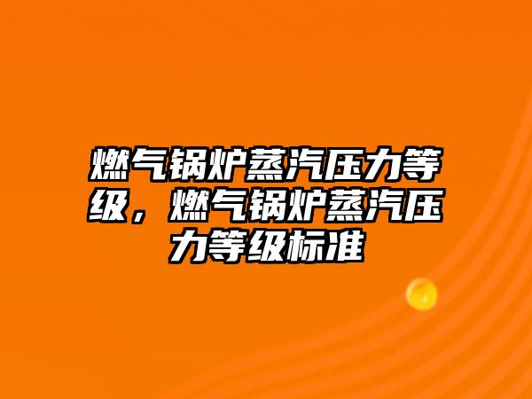 燃?xì)忮仩t蒸汽壓力等級(jí)，燃?xì)忮仩t蒸汽壓力等級(jí)標(biāo)準(zhǔn)