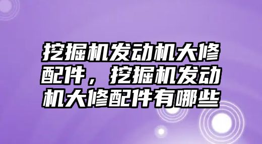 挖掘機發(fā)動機大修配件，挖掘機發(fā)動機大修配件有哪些