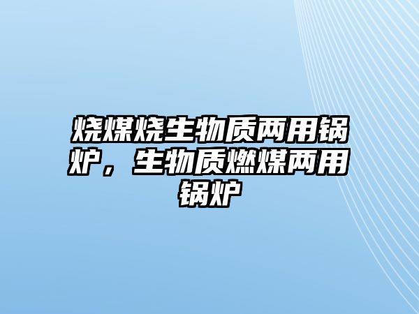 燒煤燒生物質兩用鍋爐，生物質燃煤兩用鍋爐