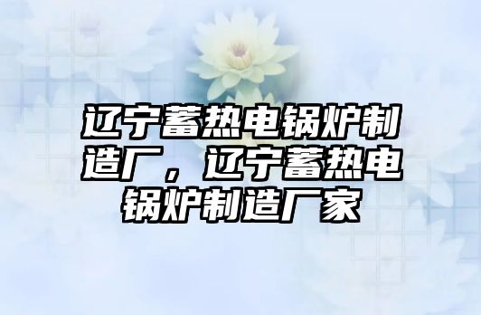 遼寧蓄熱電鍋爐制造廠，遼寧蓄熱電鍋爐制造廠家