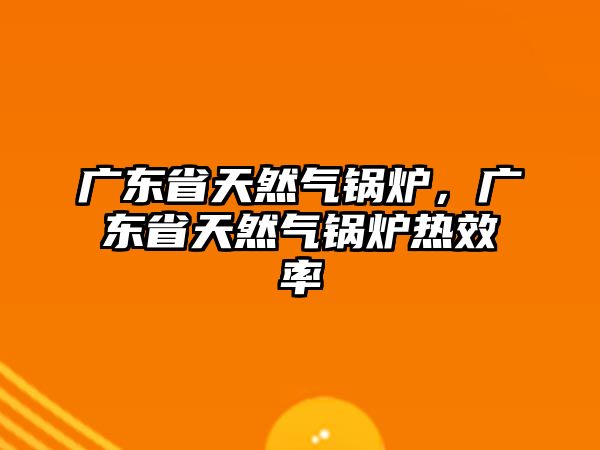 廣東省天然氣鍋爐，廣東省天然氣鍋爐熱效率