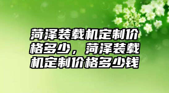 菏澤裝載機定制價格多少，菏澤裝載機定制價格多少錢