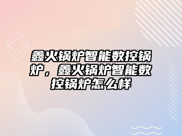 鑫火鍋爐智能數(shù)控鍋爐，鑫火鍋爐智能數(shù)控鍋爐怎么樣