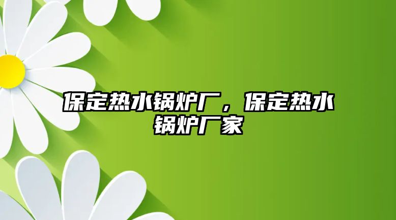 保定熱水鍋爐廠，保定熱水鍋爐廠家