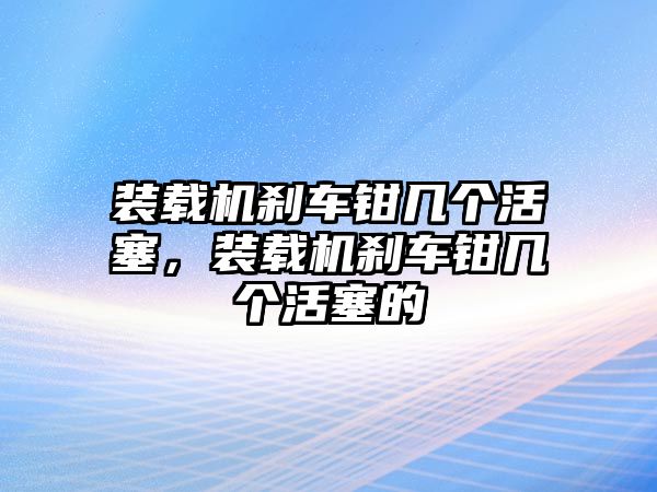 裝載機(jī)剎車鉗幾個(gè)活塞，裝載機(jī)剎車鉗幾個(gè)活塞的