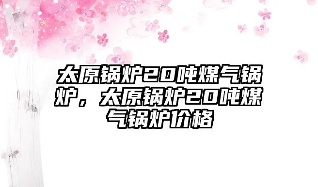 太原鍋爐20噸煤氣鍋爐，太原鍋爐20噸煤氣鍋爐價格