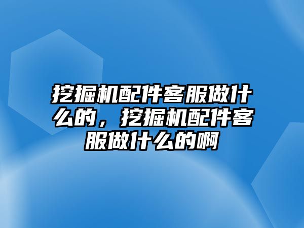 挖掘機配件客服做什么的，挖掘機配件客服做什么的啊