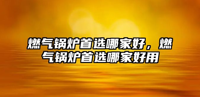 燃氣鍋爐首選哪家好，燃氣鍋爐首選哪家好用