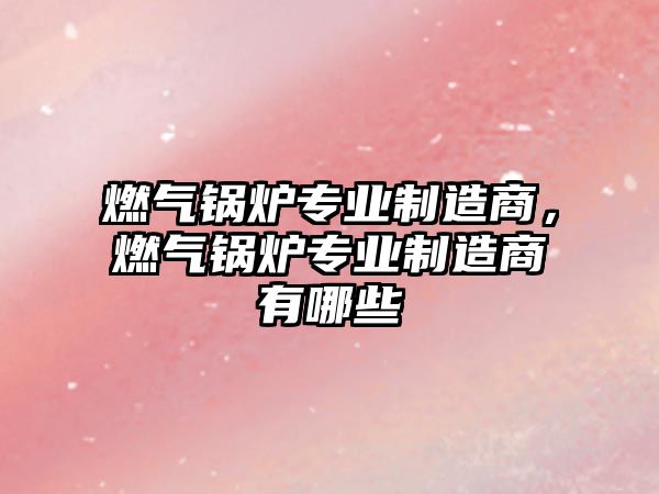 燃?xì)忮仩t專業(yè)制造商，燃?xì)忮仩t專業(yè)制造商有哪些