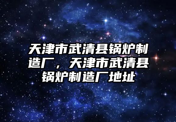 天津市武清縣鍋爐制造廠，天津市武清縣鍋爐制造廠地址