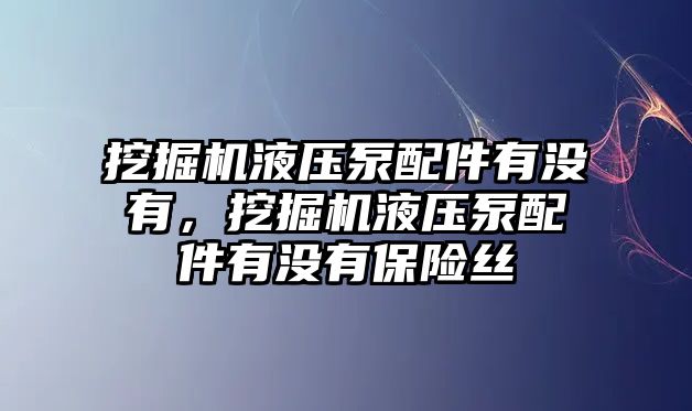 挖掘機液壓泵配件有沒有，挖掘機液壓泵配件有沒有保險絲