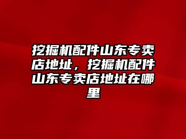 挖掘機(jī)配件山東專賣店地址，挖掘機(jī)配件山東專賣店地址在哪里