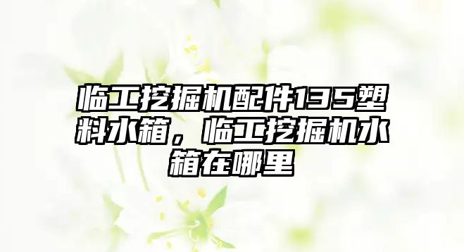 臨工挖掘機配件135塑料水箱，臨工挖掘機水箱在哪里