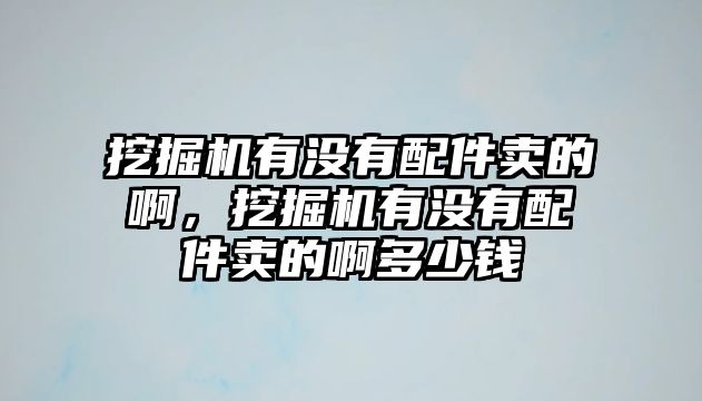 挖掘機有沒有配件賣的啊，挖掘機有沒有配件賣的啊多少錢